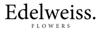 Edelweiss Flowers