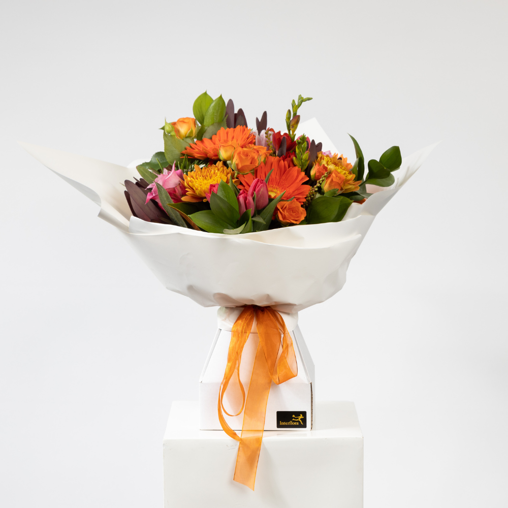 Bright and Bold Bouquet in Water Filled Box - Edelweiss Flowers flowers, flower bouquet, send flowers, feilding, florist, edelweiss