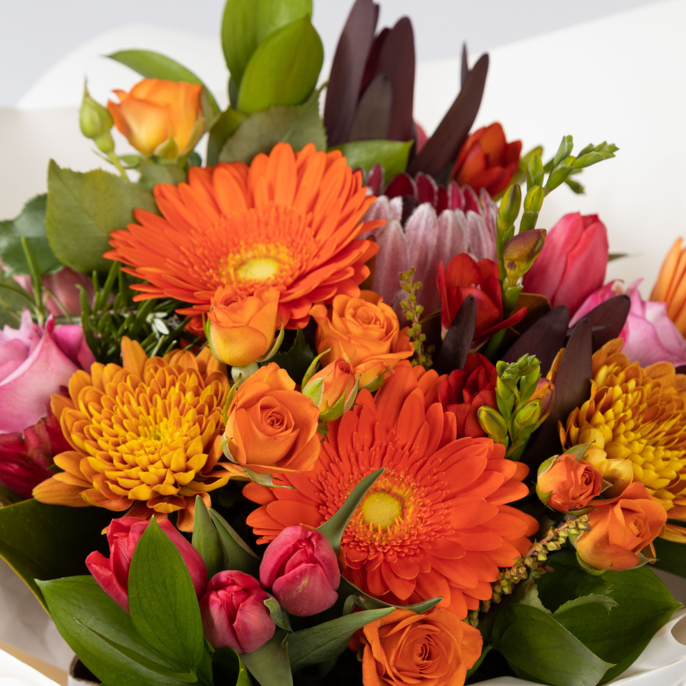 Bright and Bold Bouquet in Water Filled Box - Edelweiss Flowers