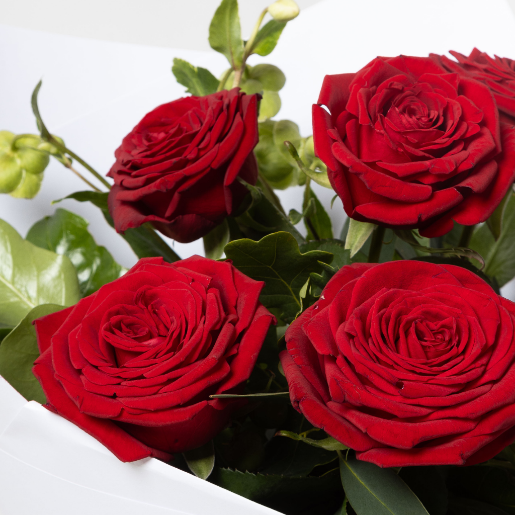6 Red Roses – Edelweiss Flowers