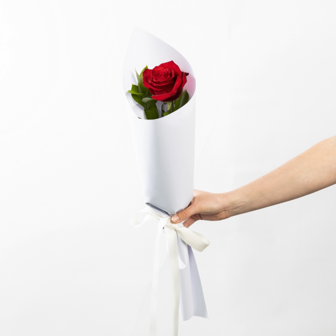 Single Long-Stemmed Red Rose - Edelweiss Flowers